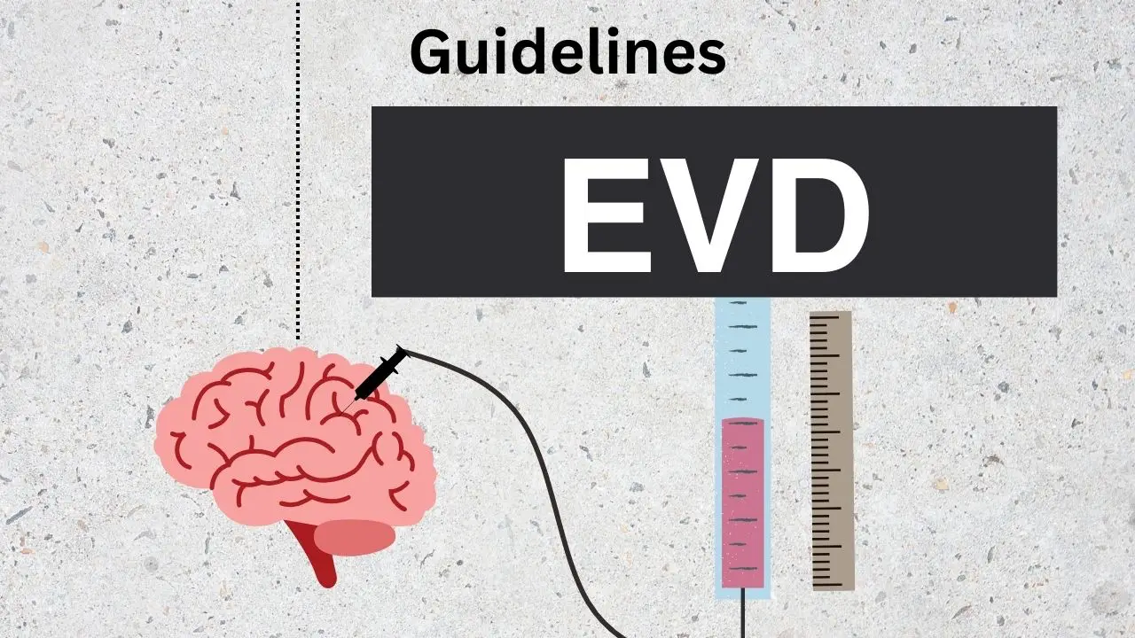 therapy guidelines for external ventricular drains